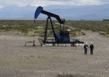 Mendoza transfiere seis áreas petroleras a Petróleos Sudamericanos SA