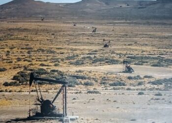 Chubut evalúa el potencial de la Formación D-129: El «Vaca Muerta» del Golfo San Jorge