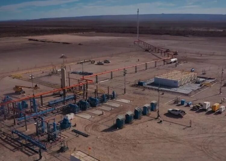 Central Puerto ingresa a Vaca Muerta tras adquirir el 100% de Patagonia Energy